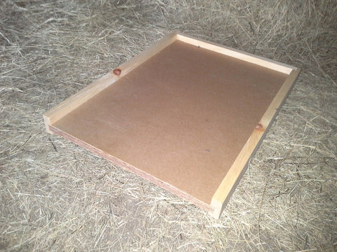 Pine Solid Bottom, 10 Frame, Assembled