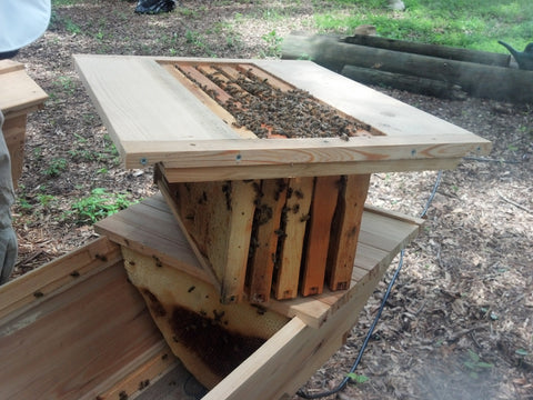 5 Frame Hive Conversion Rack