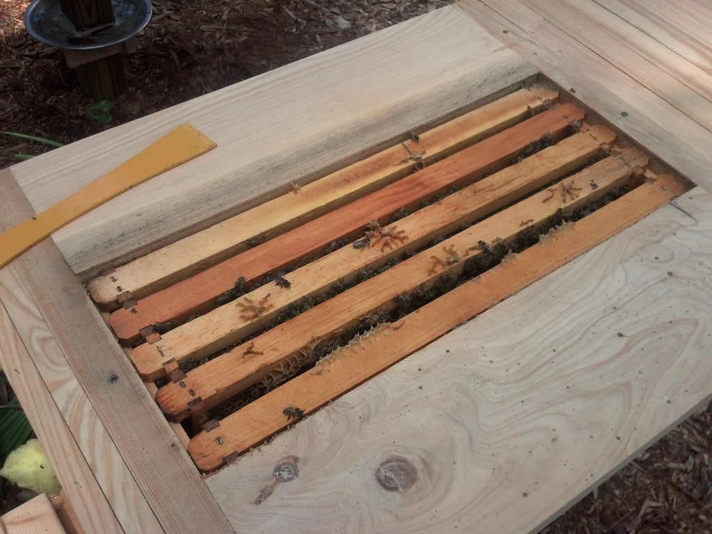 Hibe Rack 5 Frame Hive Conversion Rack – HIVES AND MORE